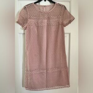 Ann Taylor Elegant Pink Lace Dress